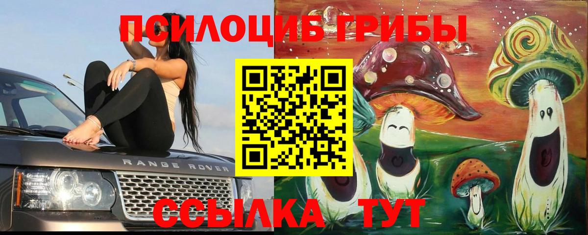 Псилоцибиновые грибы Magic Shrooms  наркота  Галлюциногенные грибы GOLDEN TEACHER  Электросталь  Вход с VPN 